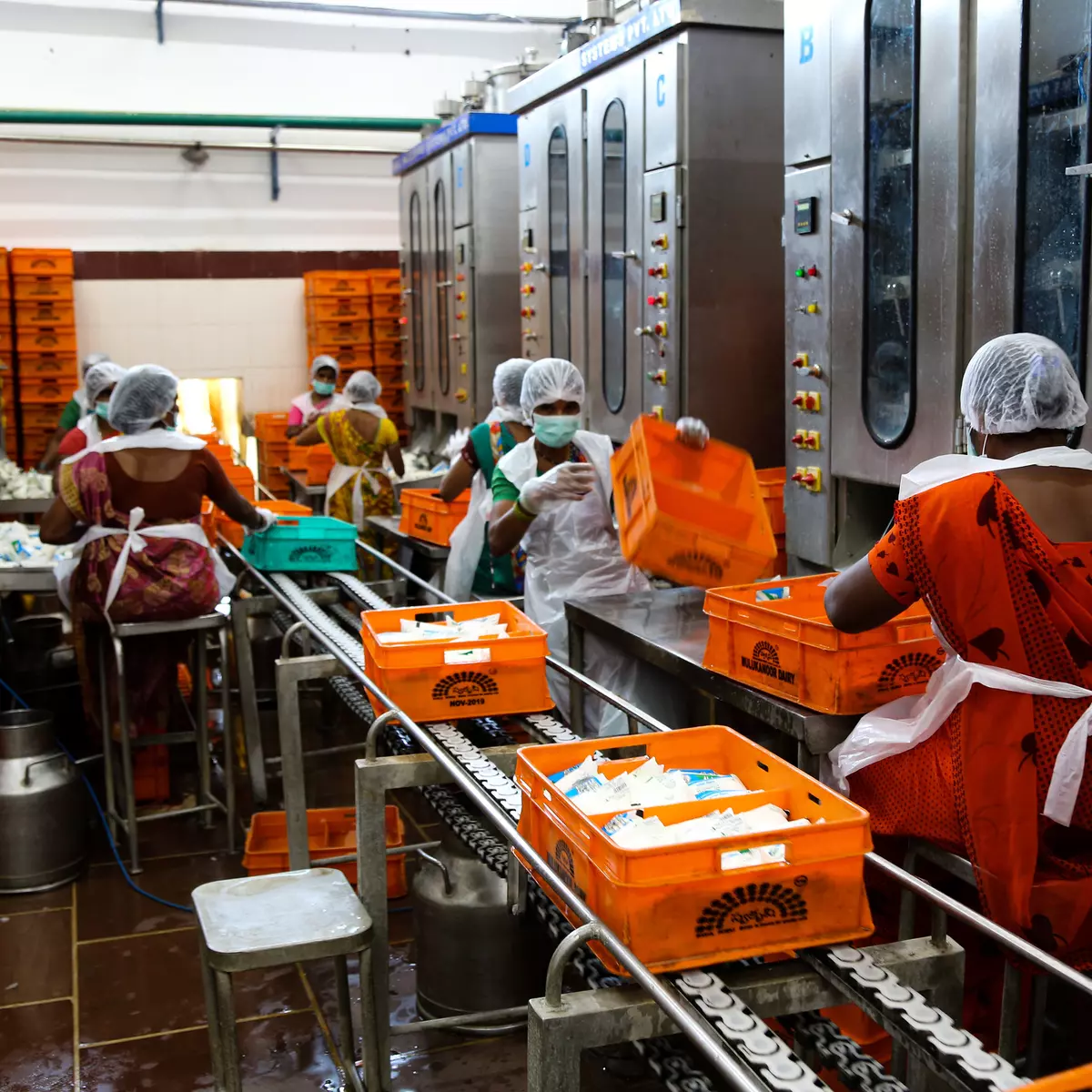 Milk processing in India