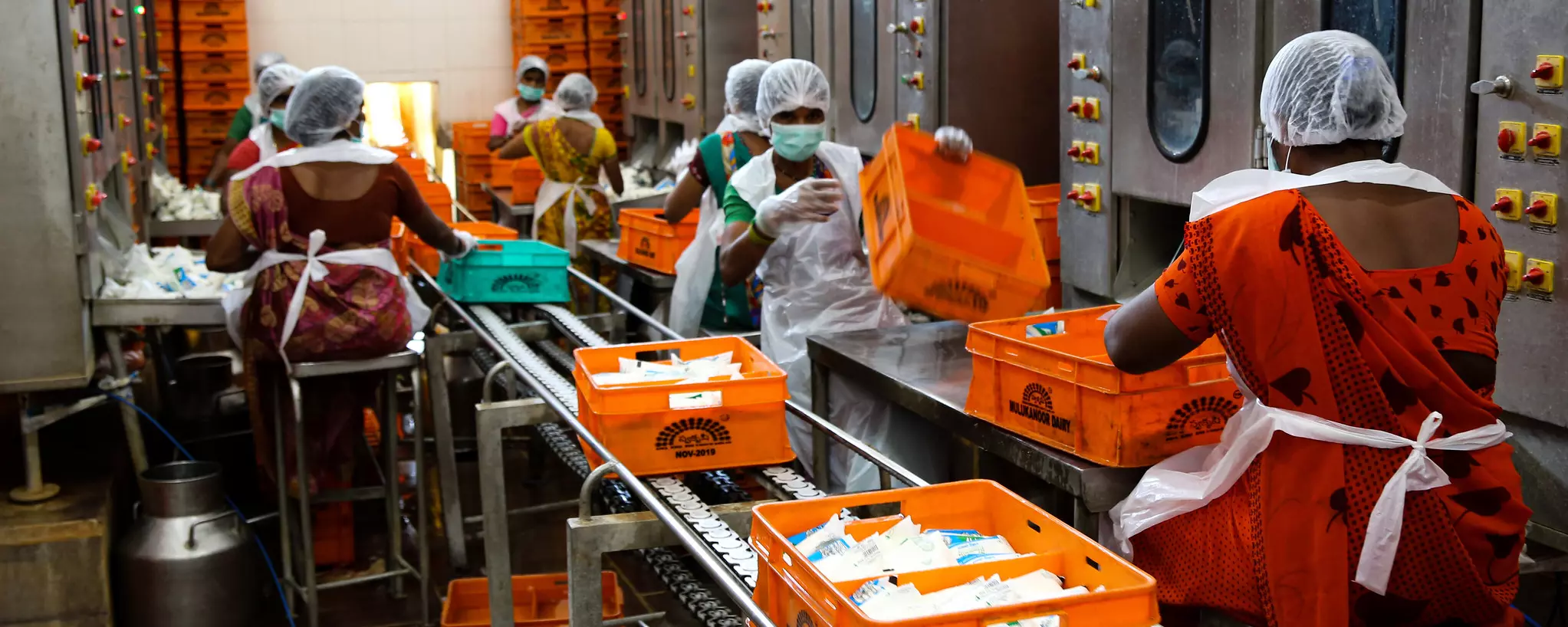 Milk processing in India