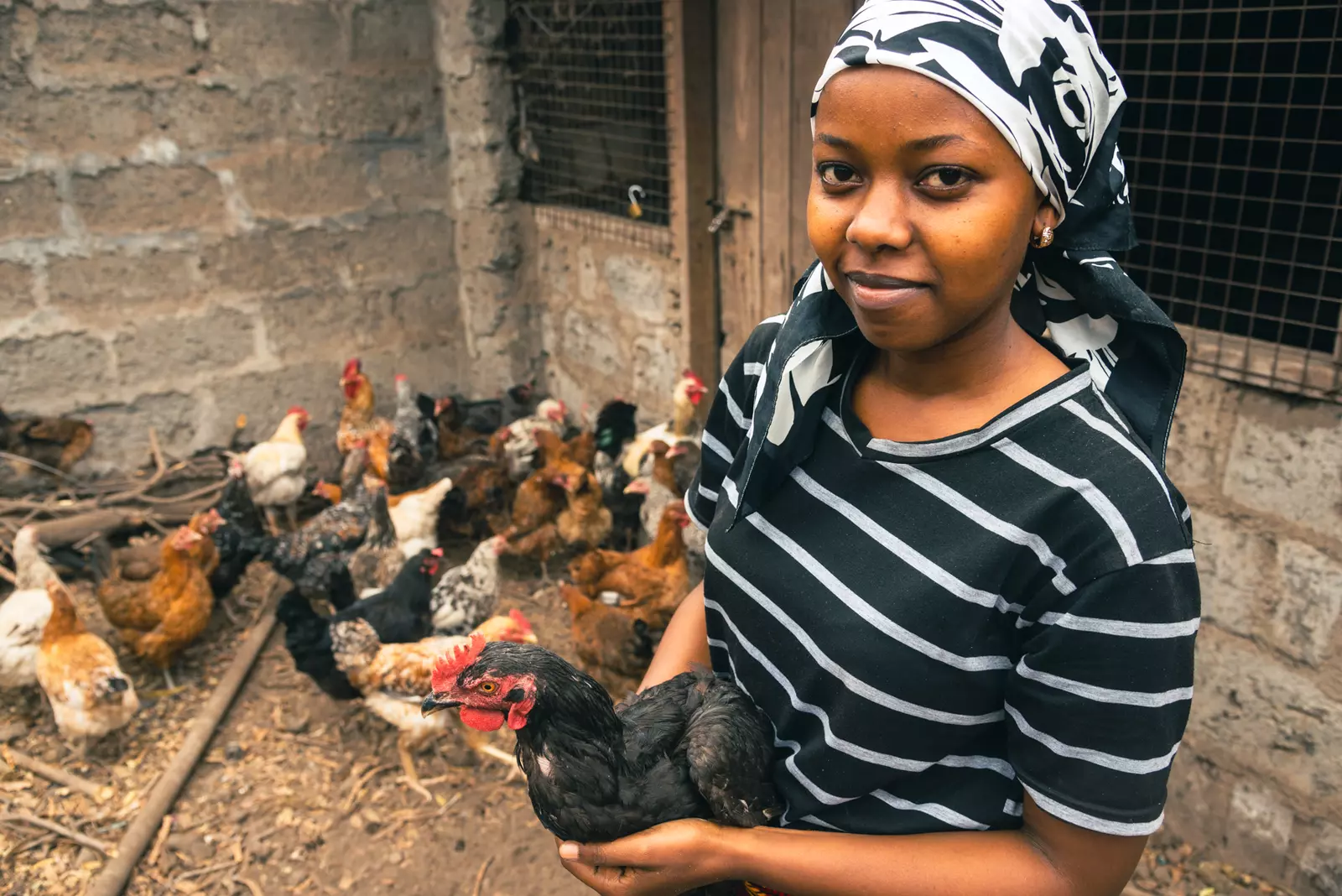 Brenda Urassa, Tanzanian poultry farmer