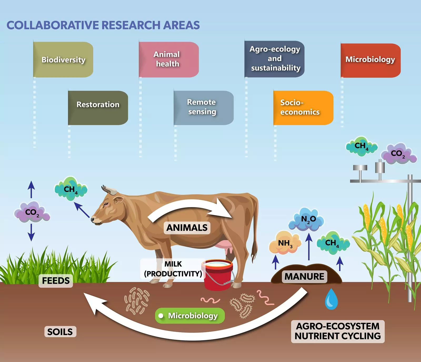 Mazingira centre areas of research
