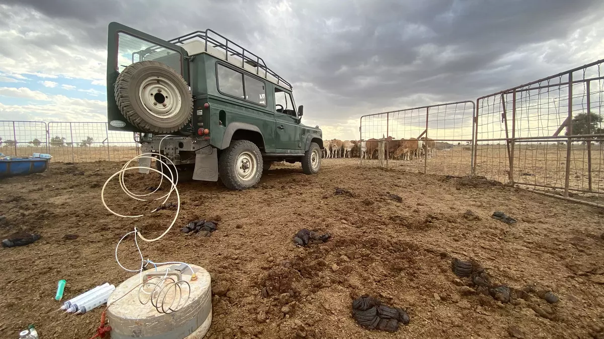 Measuring greenhouse gases in soil and manure at ILRI Kapiti