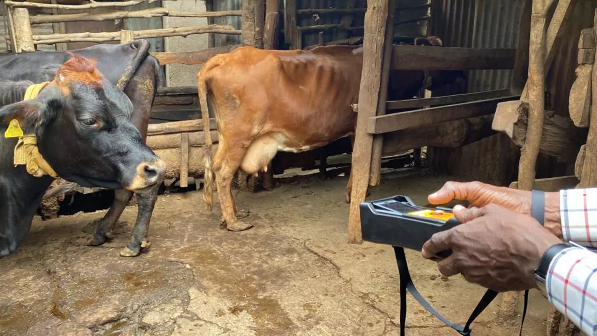 A laser methane detector captures methane emissions at the farm level